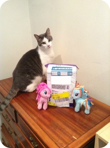 Illy poses with Pinky Pie and Rainbow Dash to show off the newly arrived package!